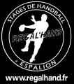 Stages de handball Régal'hand 2013