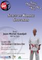 Stage Karaté Shotokan le 19 janvier 2013