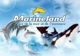 Journée Marineland