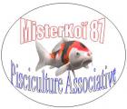 Création de notre site internet Misterkoi87.fr