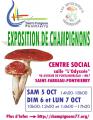 28ème exposition de champignons à St-Fargeau-Ponthierry