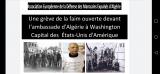 Une grève de la Faim ouverte devant l’Ambassade d’Algérie à Washington capital des Etats unis d’Amérique
