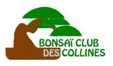 BONSAI CLUB DES COLLINES (BCC)