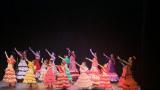Cours de danse Flamenco en Ariège