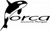 CLUB DE PLONGEE JEUMONTOIS ORCA (CPJ ORCA)