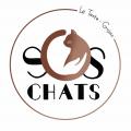 SOS CHATS LA TESTE 33