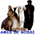 AMIS DE GOSSI