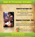 Stage de percussions africaines - 29 et 30 nov 2014 - Avec Solo Cherif