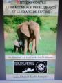 Marche contre le braconnage des Elephants( 4 Octobre)