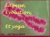 Sagesse, Evolution et... yoga