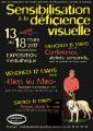 Sensibilisation à la déficience visuelle : conférence, spectacle....