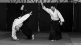 nouveauté du tenchi aikido club