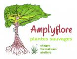 AMPL'YFLORE-PLANTES-SAUVAGES