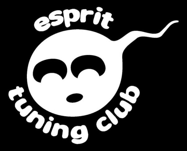 6 EME MEETING DE L’ESPRIT TUNING CLUB à BEAUNE (21) LE 25 et 26 AOUT 2012