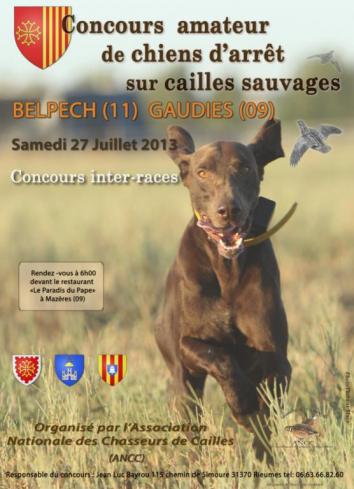 Concours amateur cailles sauvages Belpech Gaudies