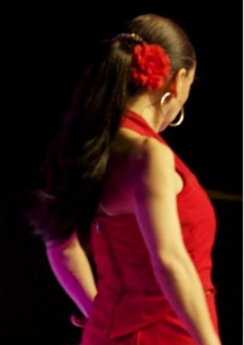 cours de danses sevillane rumba flamenco 