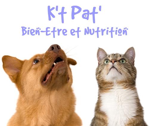 Analyse d'aliments pour chiens et chats