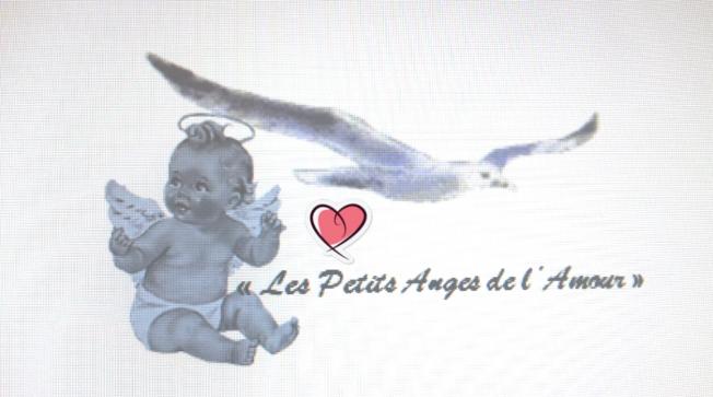 ASSOCIATION D'AIDE AUX PETITS ANGES DE L'AMOUR  Paris 16e