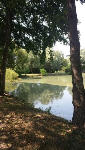 etang la truite fretillante