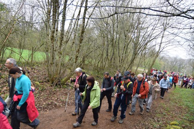 randonnee pedestre vesoul