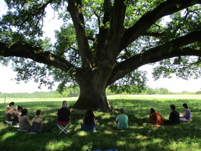 Au pied de l'Arbre