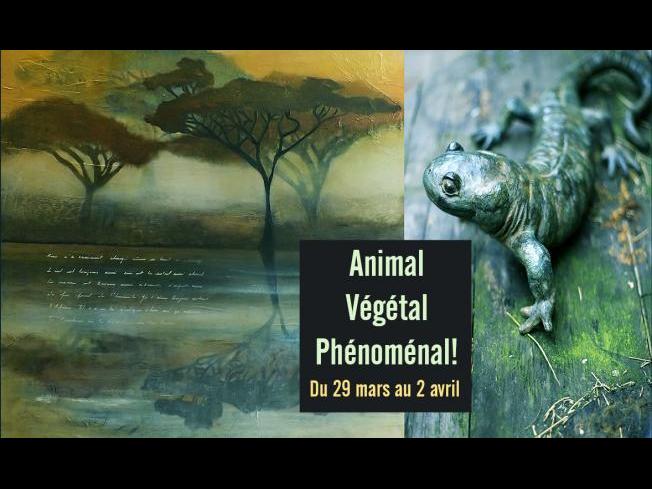 Exposition Animal Végétal Phénoménal ! Regards croisés d'artistes sur le monde vivant