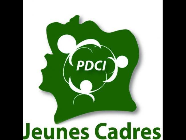 COTE D IVOIRE: declaration de Hervé ACHI Président des jeunes cadres du PDCI-RDA