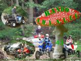 RANDO QUAD SSV ET VÉHICULES DE LOISIR ÉLECTRIQUES AMANITE 43
