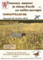 Concours de chien d'arrêt sur cailles sauvages