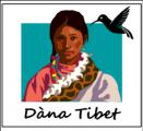 Dàna Tibet au forum des assosiations