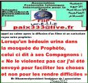 appel au calme apres la diffusion d'un filme et un caricature/ voyez notre prophète: