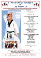 Un expert coréen de Taekwondo à la Réunion