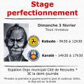 STAGE DE KARATE ET KOBUDO