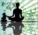 Stage de hatha yoga traditionnel du 8 mai (15h30) au 12 mai (11h30) 2013