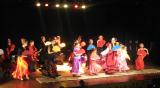 animation  de danse Flamenco
