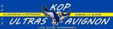 Abonnement au Kop Ultras Avignon 