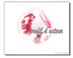 LE CLAN DES CARPATES PRESENTE SON SERVICE « PROFIL D’ACTEUR » !