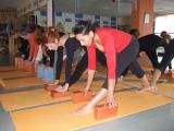 Studio de yoga Iyengar 4 rue Rauski à Pau : cours de yoga le samedi matin à 10h à compter du 28 août 2021
