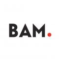 BICYCLETTE &AMP; ALTERNATIVES DE MOBILITÉ (BAM)