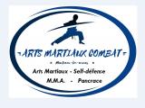 ARTS MARTIAUX COMBAT