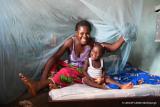 Lutte contre le paludisme : le taux de mortalité en baisse d’environ 50%