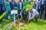 Cop 15/Restauration du couvert forestier ivoirien : le Premier Ministre Patrick Achi et une vingtaine d'autres personnalités participent à une opération de planting d'arbres