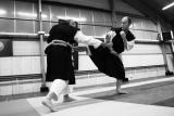 Cours spécial SHORINJI-KEMPO