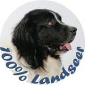 100 % LANDSEER