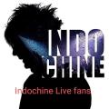 Indochine Live fans 