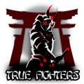 TRUE FIGHTERS GAMING