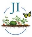 JARDINS D'ISSOLE