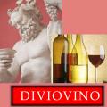 DIVIOVINO