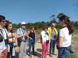 Visite guidée de la réserve naturelle des prés salés d'Arès-Lège
