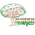 ONG AU COEUR DE CALABACEIRA